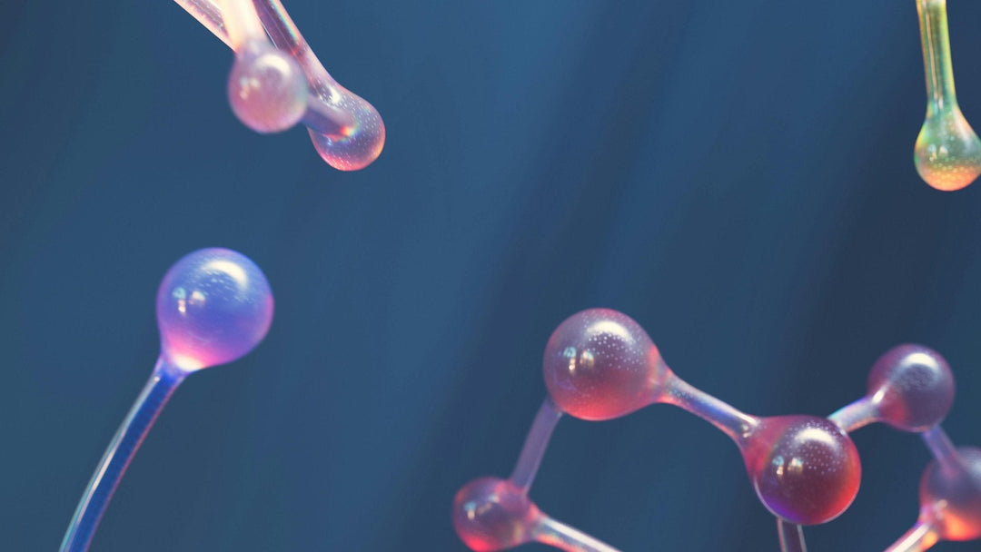 The Next Frontier: Are Exosomes the Future of Skin Regeneration?