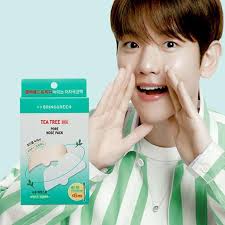 BRINGGREEN  Tea Tree Cica  Pore Nose Pack