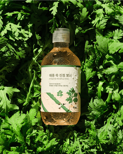 ROUND LAB Mugwort Calming Toner 300ml bottle detail